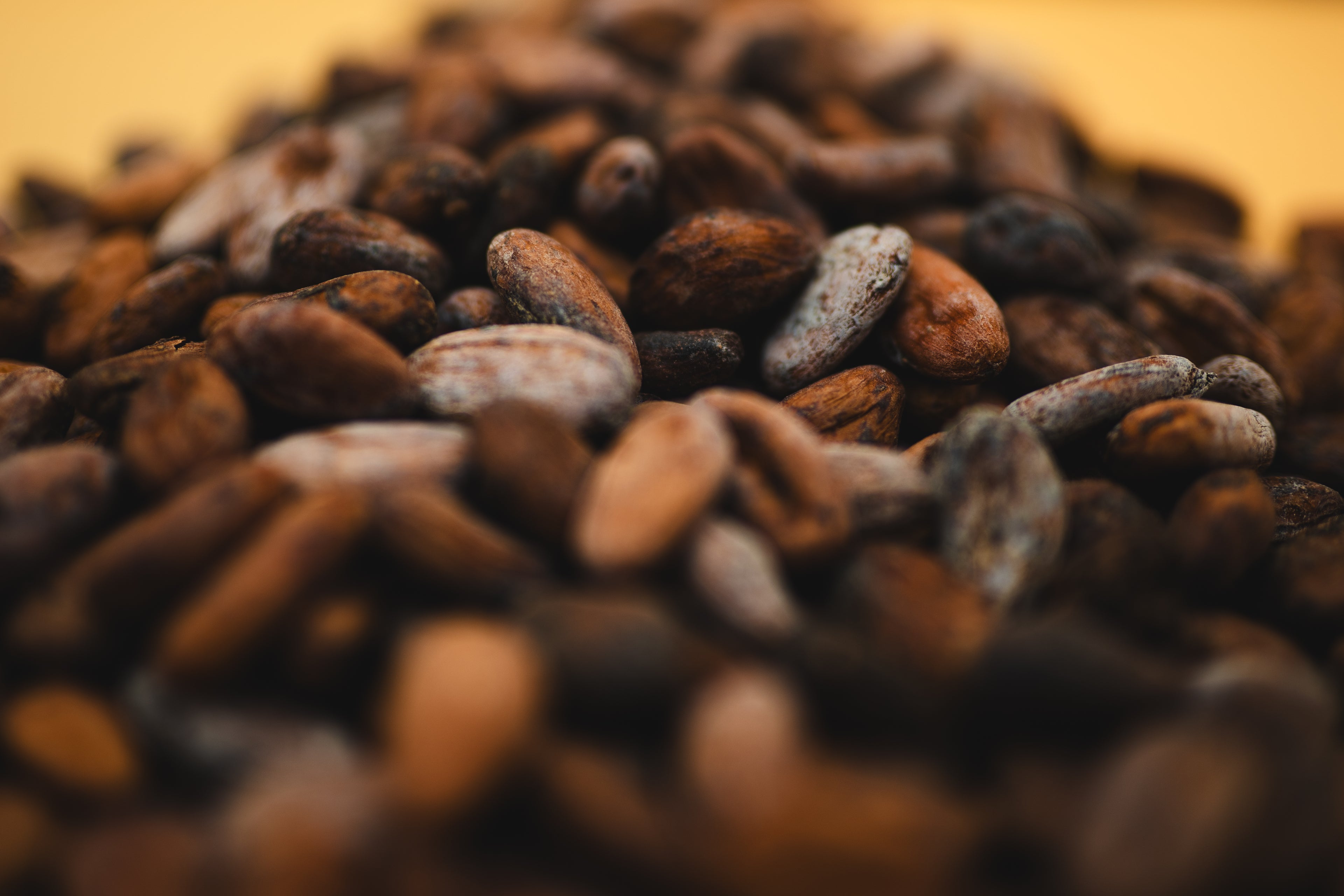Feves de cacao natex